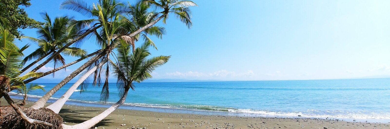 Beaches